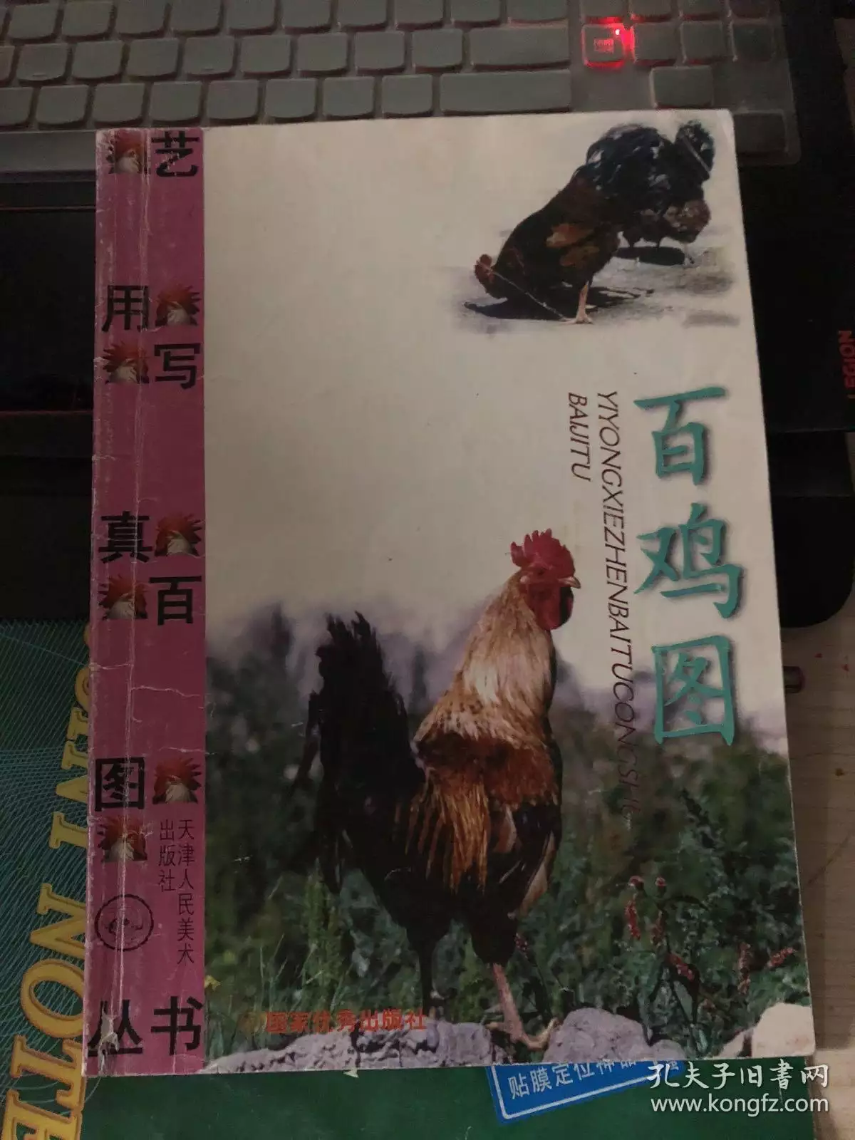 4、90年女马与81男鸡婚配吗:81年8月的鸡(女)与90年8月的马(男)能配婚好吗