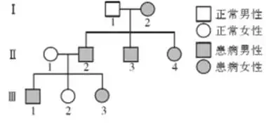 2、常隐性遗传病常见婚配类型:有一常隐性遗传病,其系谱分析如下