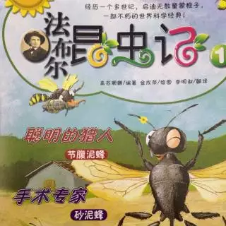 1、昆虫记泥蜂的婚配和繁殖:昆虫记的每个昆虫特点？