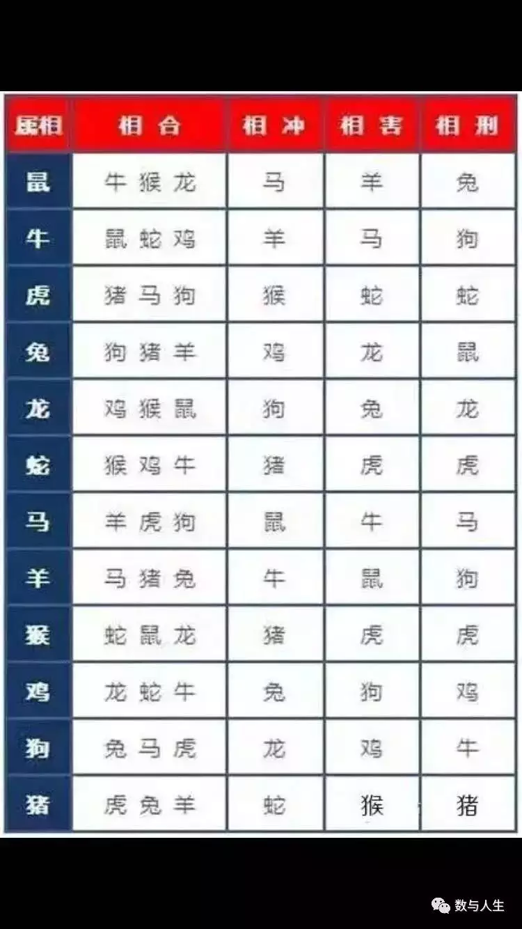 7、婚配问题取什么名字好:取什么名字好呢