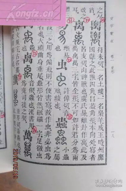 3、生肖男虎和女蛇婚配如何作解:女属蛇和男属虎相配吗