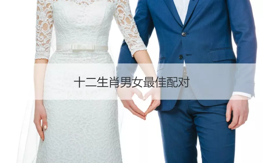 1、属狗的属相婚配表大全:年，的属狗的和什么属相配