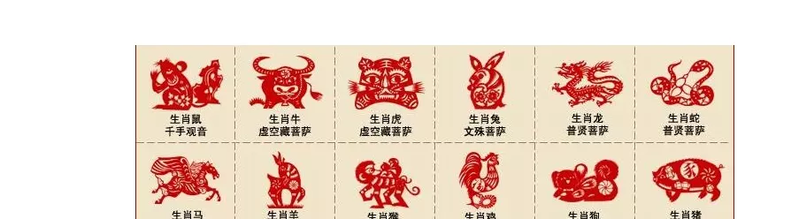 4、生肖猪能和生肖龙婚配:属猪和属龙能否婚配?