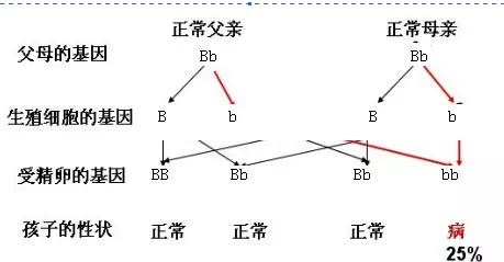 2、直系和旁系三代的婚配:婚姻我的外公和他爷爷是兄弟，这属于三代以内的旁系血亲不？