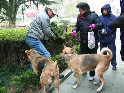 4、路旁土羊婚配是什么:如果生肖属羊者，那婚配生肖是什么最合适？