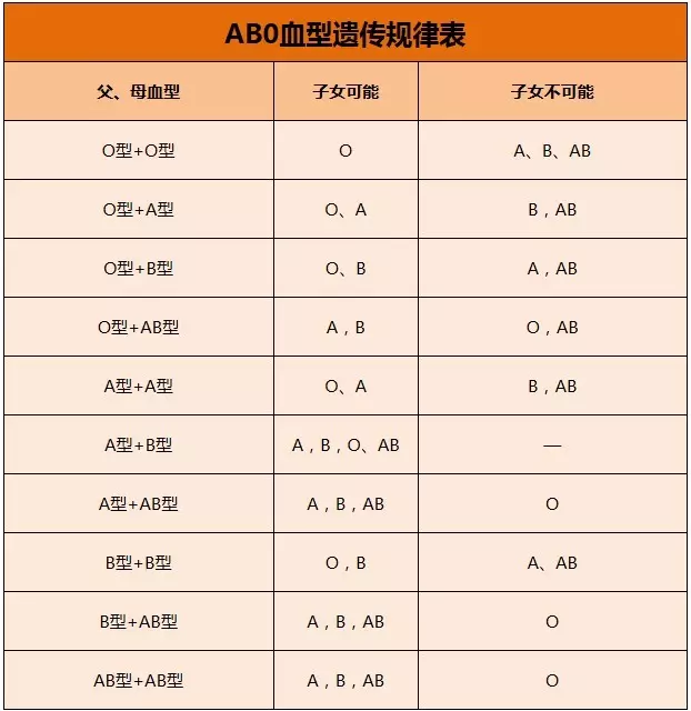 2、b血型的女孩和o血型男孩婚配:处女座B血型女生和双子座O血型男生配不配