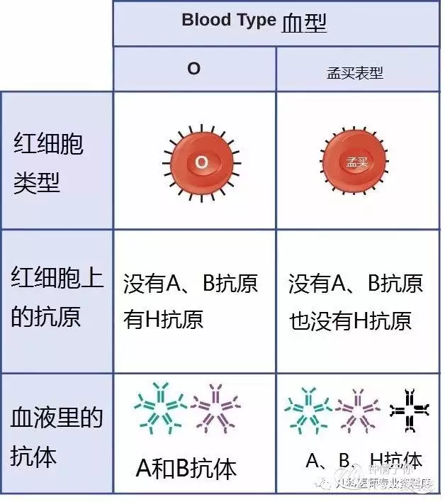 6、男o型与女a型的婚配:A型男与O型女配吗