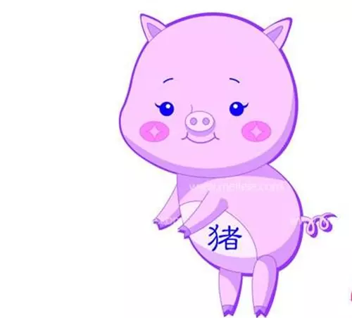 3、属猪和属鼠的婚配属相合吗:属鼠和属猪的合不合