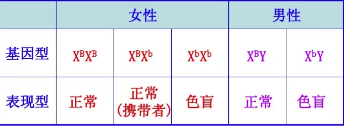 6、一正常女性与一红绿色盲男性婚配 生了一个红绿色盲女孩,这对夫妻的基因型是