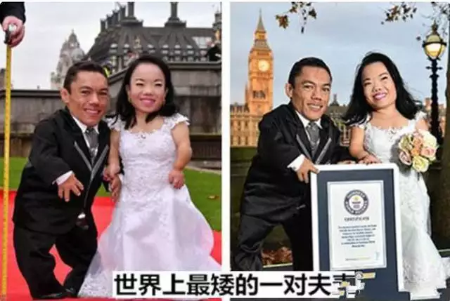 2、世界上有哪些奇葩婚配:世界上有哪些名人是闪婚的？