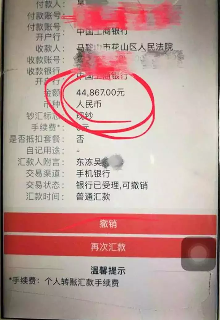 4、被纳入失信被执行人名单，还可以开公司吗？可以当股东吗？