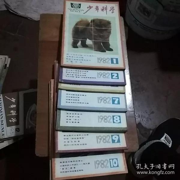 3、我老公79年属羊我81年属鸡我们俩配吗？我们的事业财运如何？