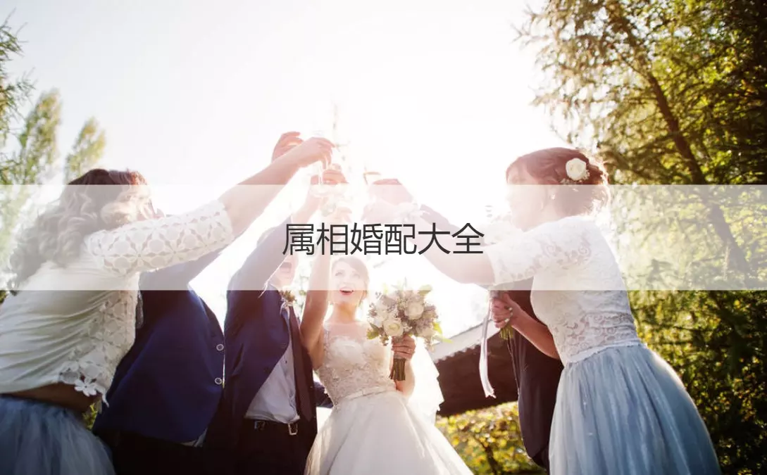 8、属免的属相婚配表大全:女属兔的属相婚配表