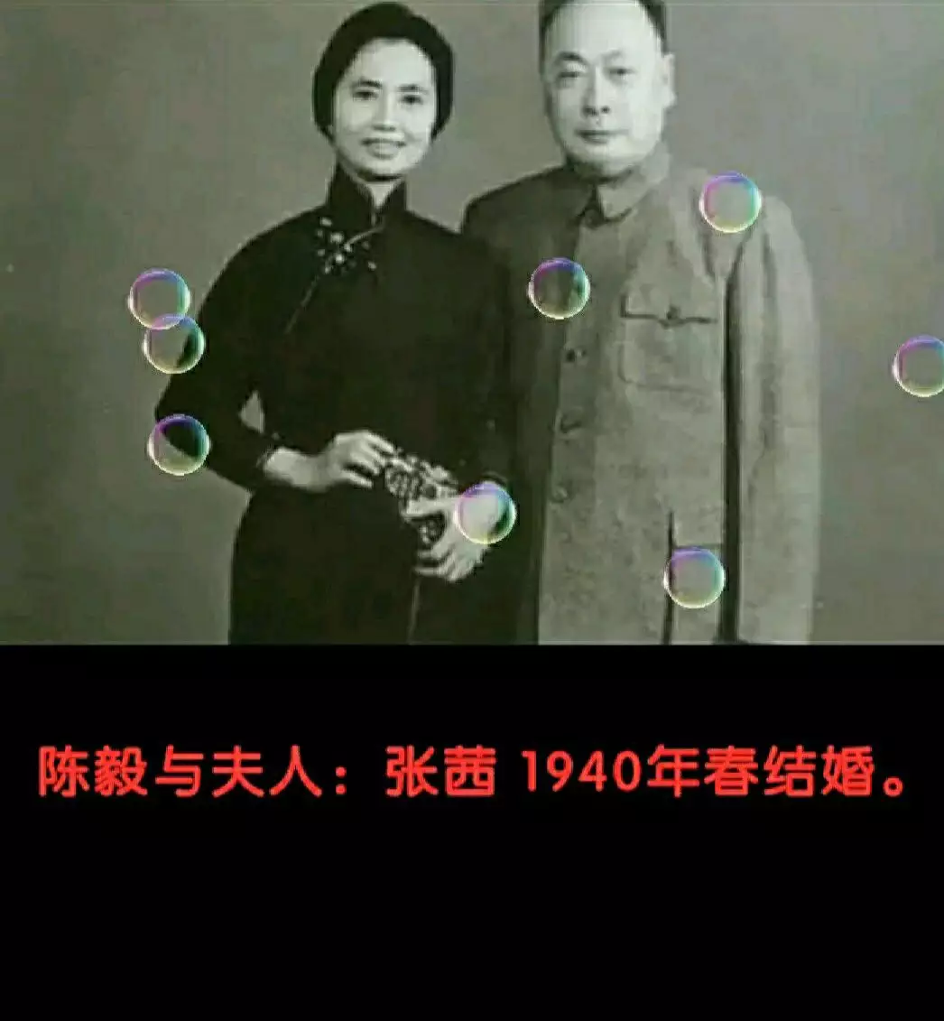 2、十大元帅与夫人属相婚配:十大元帅十大大将的夫人现在还有在世的吗