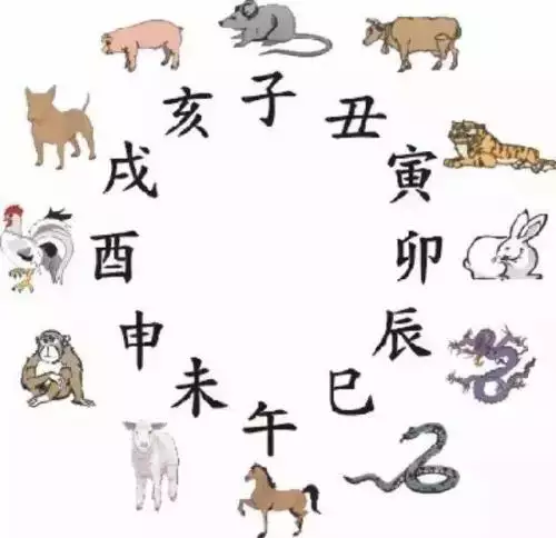 1、鼠配猪属鼠的属相婚配表:属鼠和属猪的相配吗