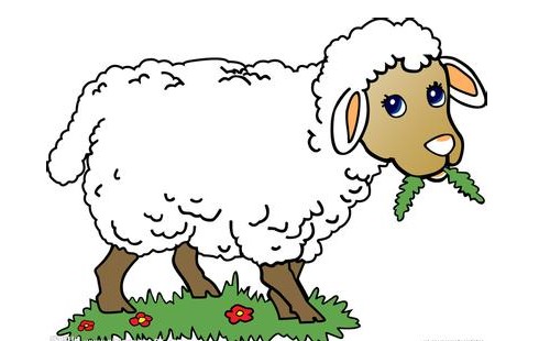6、属羊与属羊人生什么属相孩子好:属羊父母生牛宝宝好吗