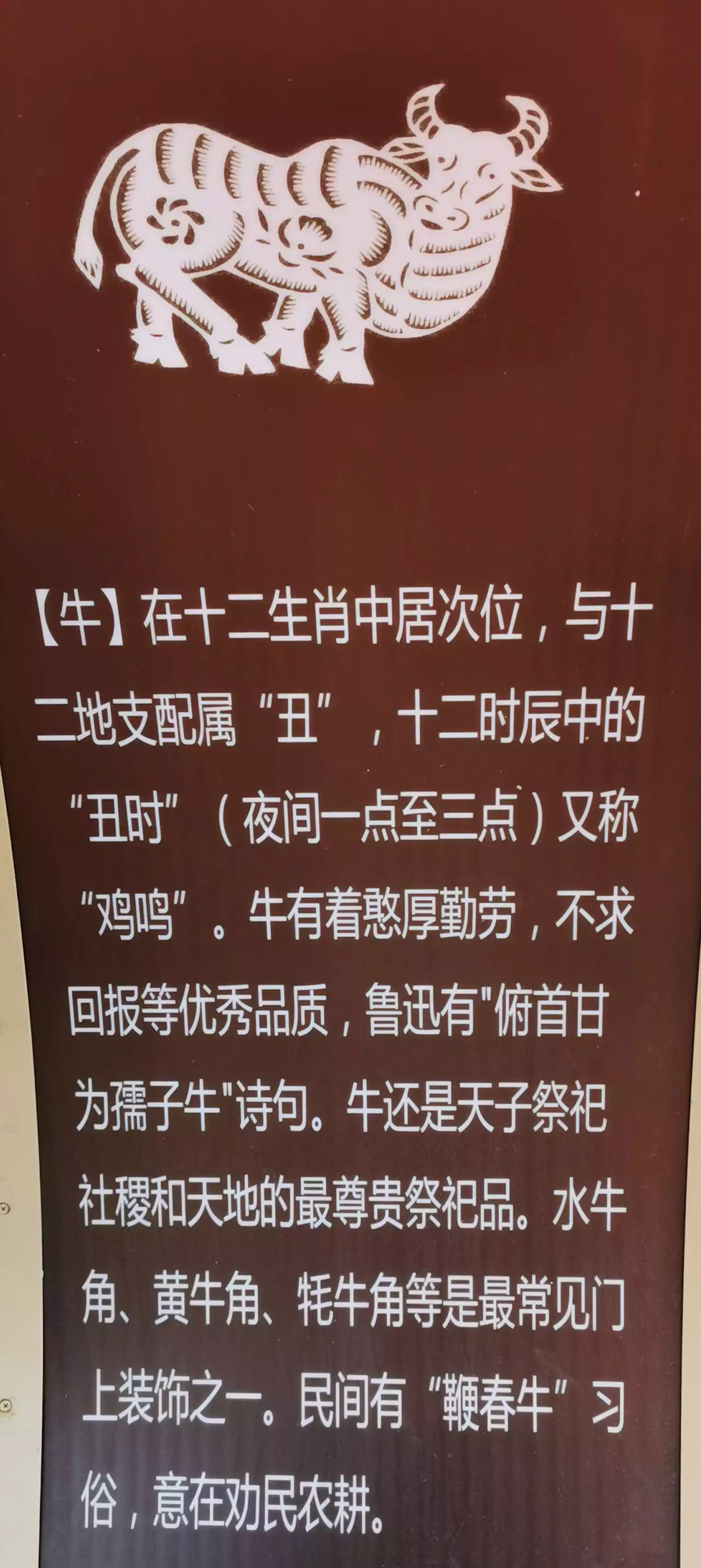 4、年12月29配啥属相:年12月29日这是属什么属相