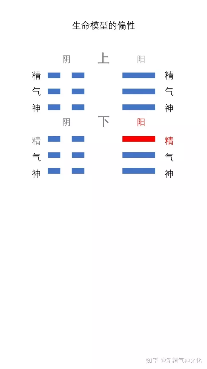 1、我与十二生肖属相性格知乎:有谁知道十二生肖的每个属相的冲月？