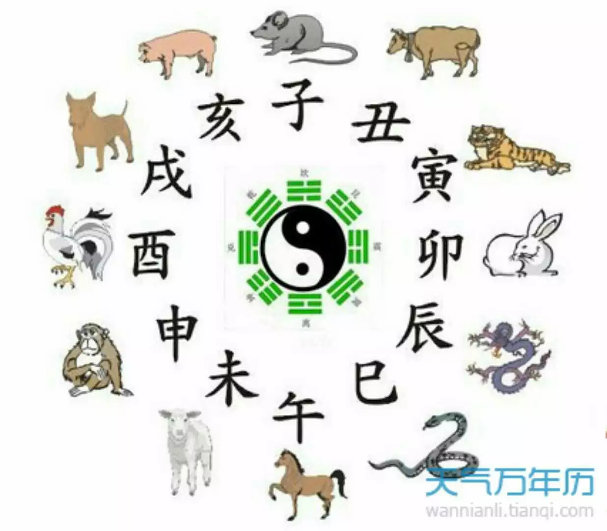 1、时辰属相和年份有什么区别:人的属相是看出生的年份还是看出生时辰的？