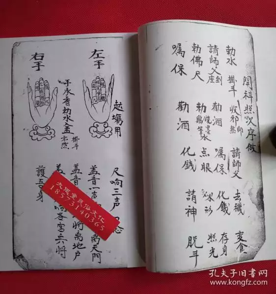 2、属马的属相在鼠日子结婚怎么结:属马的人和什么属相的人结婚合适