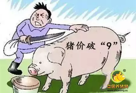 1、九六年的猪和什么属相最配:九六年属鼠男和什么属相最配？