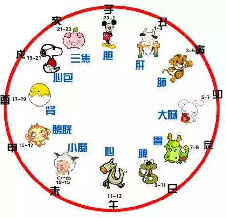 3、女孩丑时出生十二属相哪个:属鼠女孩哪个时辰出生