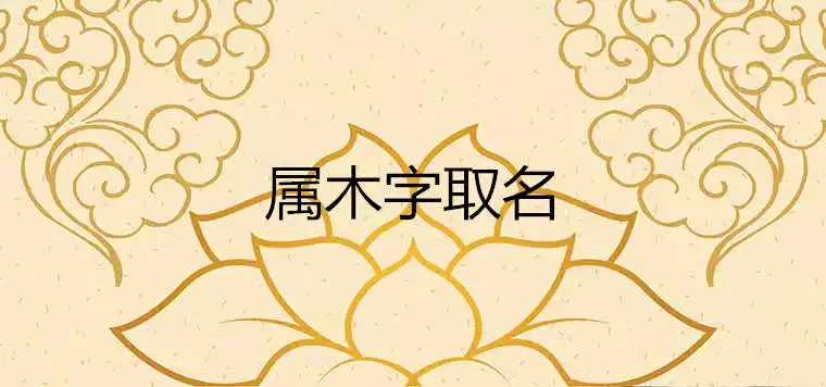 11、柏字五行属什么:请问你，柏，杰，彬，文，濠，鸿这几个字的五行属性？