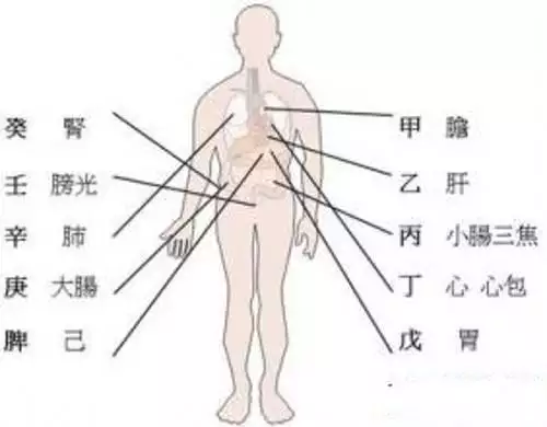 2、请问八字里的坐支是什么意思?如正印坐支里的正印坐食神，正印和食神在什么位置才是正印坐食神？谢谢