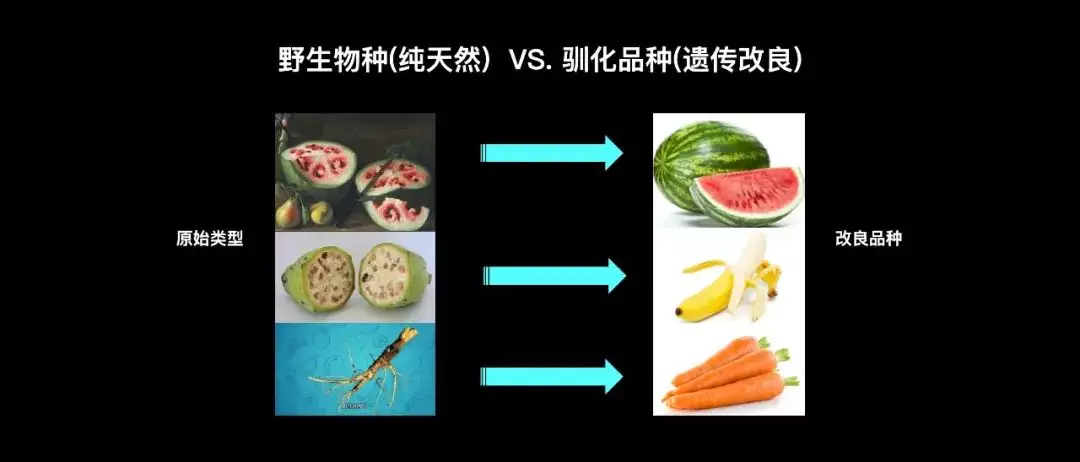 9、一生只以食为天是什么意思:一生只以食为天？是什么生肖