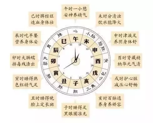 4、乙木生于什么时辰:什么时辰出生