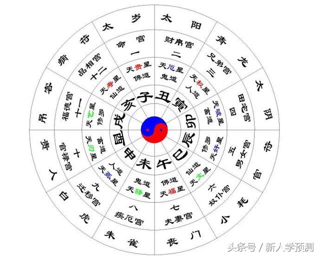 1、属蛇哪个时辰出生大富大贵:属蛇什么时辰出生好