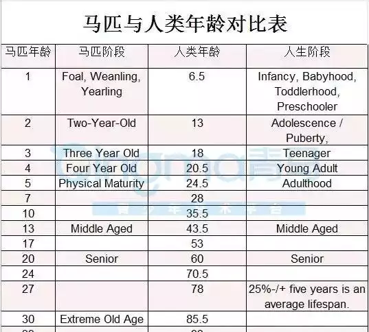 5、出生年月日寿命查询表:农历41年九月二日丑时生女性查寿命？