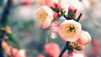 年立春属相鼠怎么做：年2月5日（已过立春）属什么生肖？