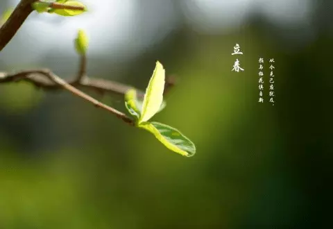 属相是按立春算还是按大年初一算：生辰八字属相是按每年的立春那天算起还是春节那天算起