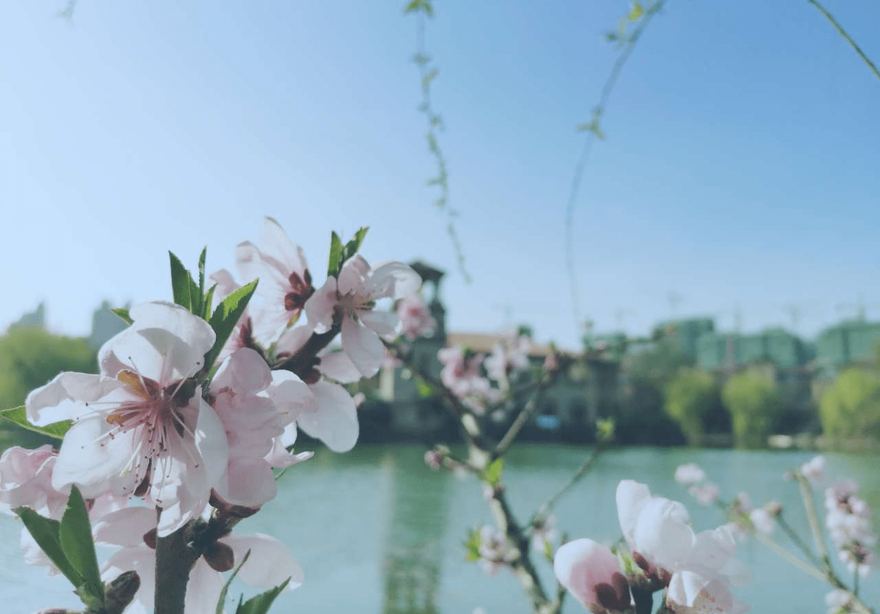 年4日3日冲什么属相：年最吉利的属相