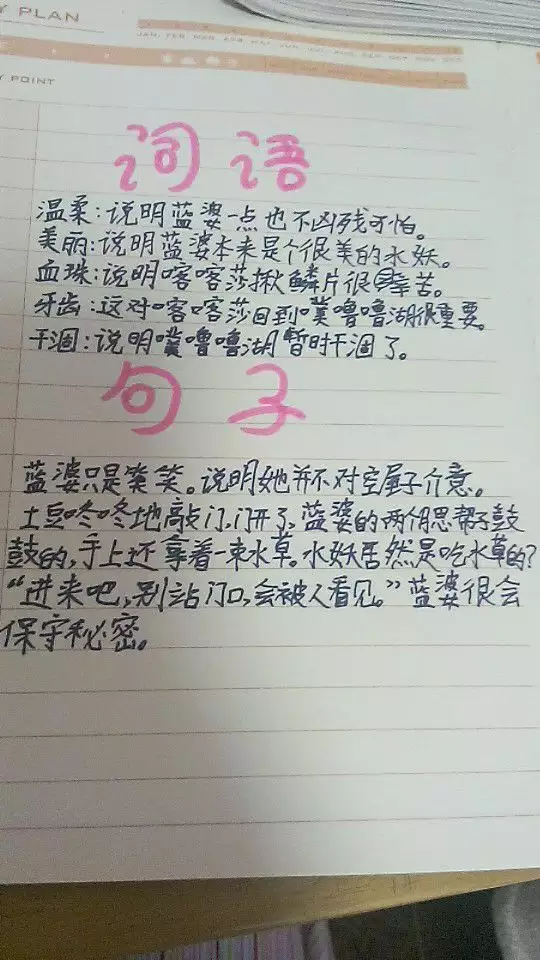 和专属相近得词语是什么：“专属”是不是极限词？有没有违反法