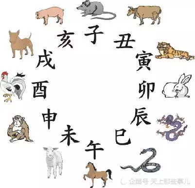 属相是按年份还是出生时辰：生肖属相是按照出生年份，还是按照出生时辰确定的？