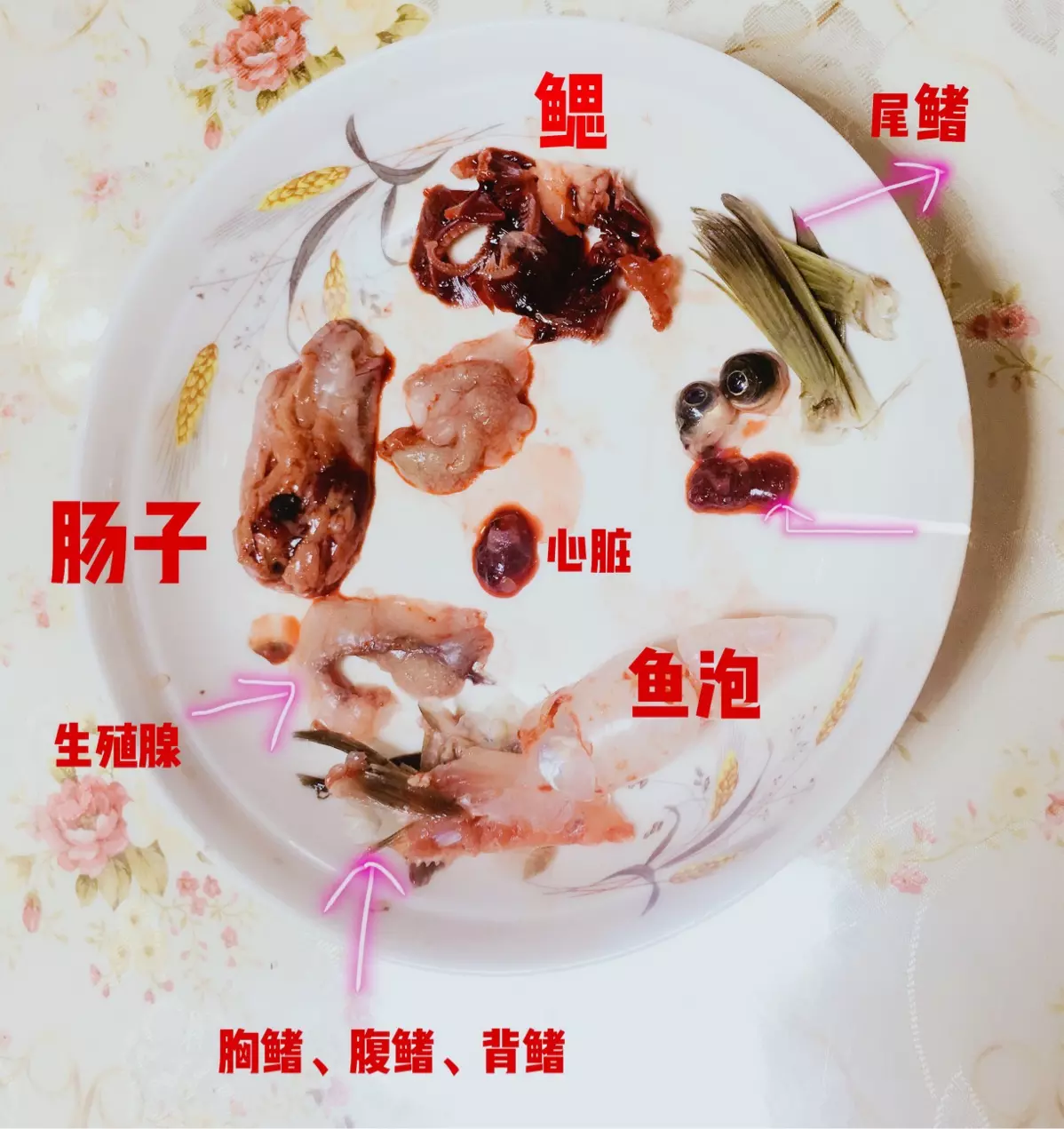 夏日欲择食是什么属相：夏日欲择食，急赶赴考去，猜一生肖