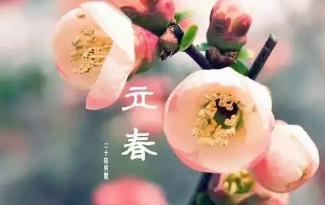 属相是从立春算还是春节开始：年(鸡年)立春是农历什么时候？