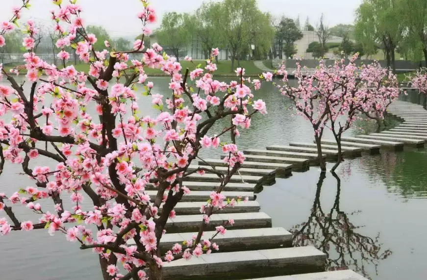 晚年桃花运最旺的属相：哪个生肖的桃花运最旺？