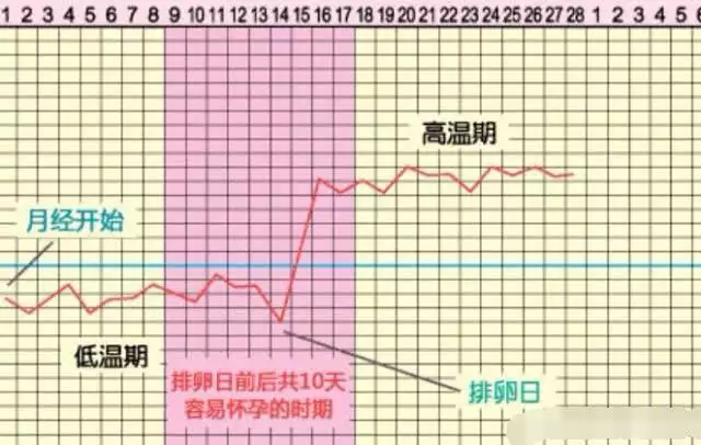 什么生肖和属相能备孕成功：和属什么生肖婚配最好