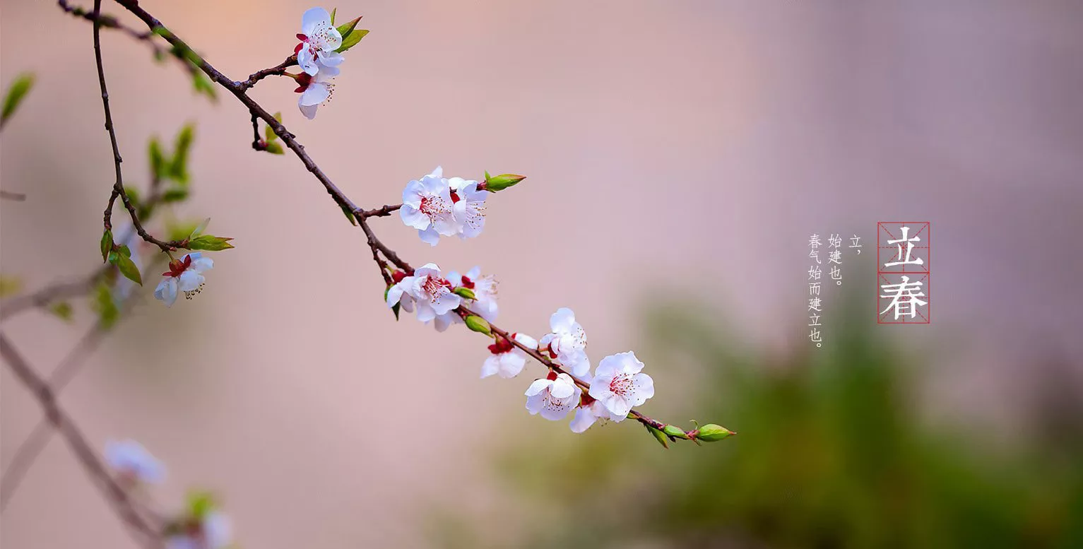 属相是按照立春还是春节来算：属相是按过年算还是立春算