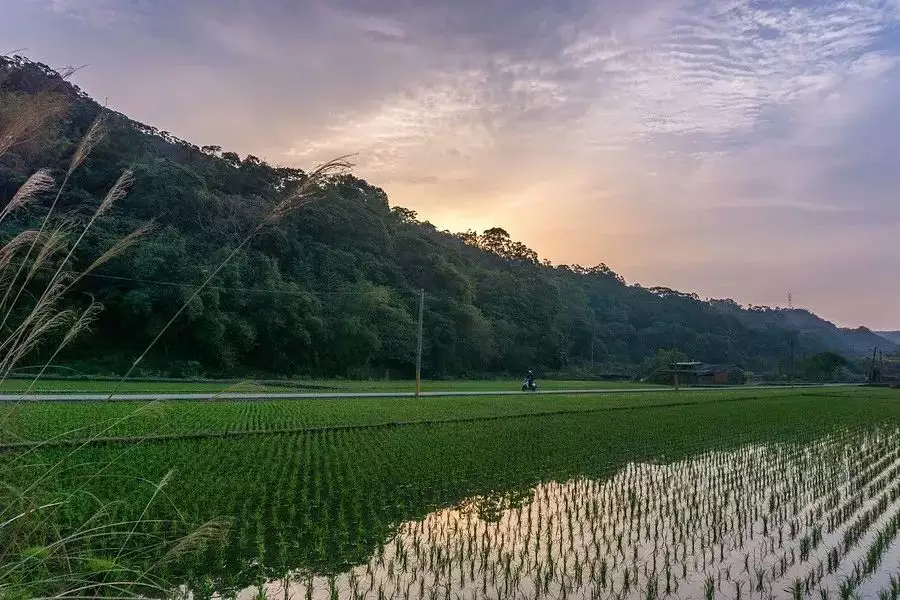 年4月1日适配属相：96年属鼠的和什么属相最配