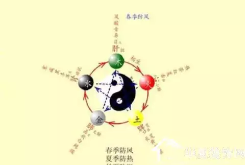 五行缺木用青龙木好还是用本命属相好：五行缺木，用属性为木的字就可以了吗？