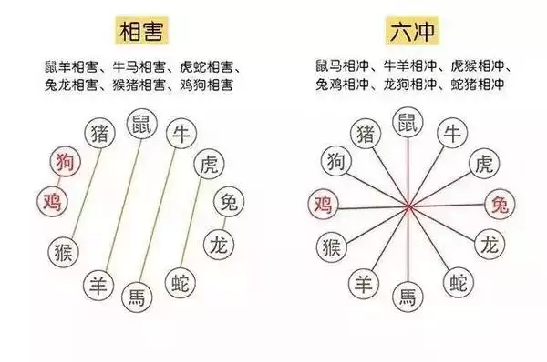 生肖属相是按立春划分的吗：生肖从立春还是初一算？