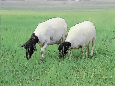 属相男羊配什么属相好：属羊男和什么属相最配