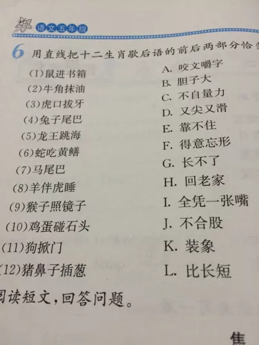 十二属相歇后语补充：照样子把十二生肖歇后语补充完整五年级寒假做业