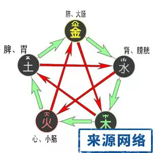 猪属相属金木水火土区分：属猪的人五行属什么?