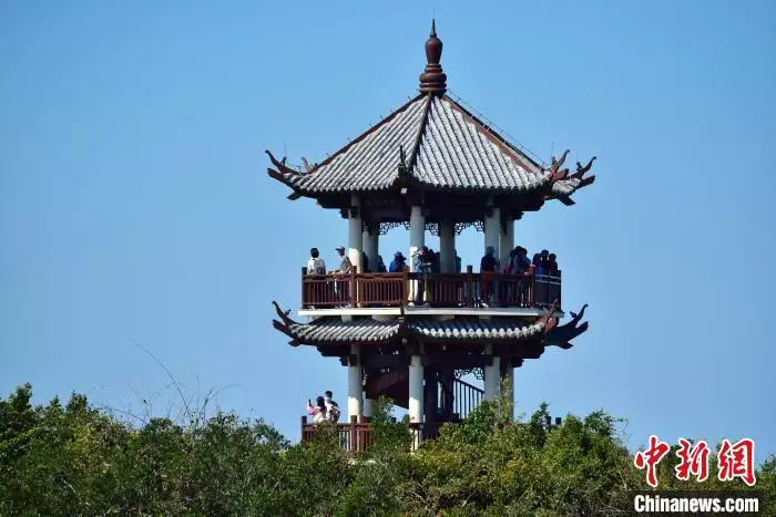 年10月份属相：年属鸡农历10月初2是什么命运