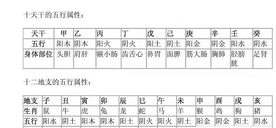 十二地支的属相对应表：十二地支的